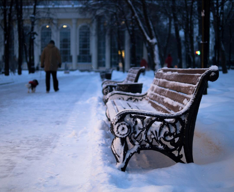 * * * Продолжение первой главы