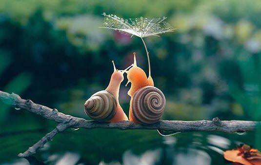 С днем рождения, «Улитка»!