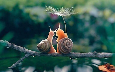 С днем рождения, «Улитка»!