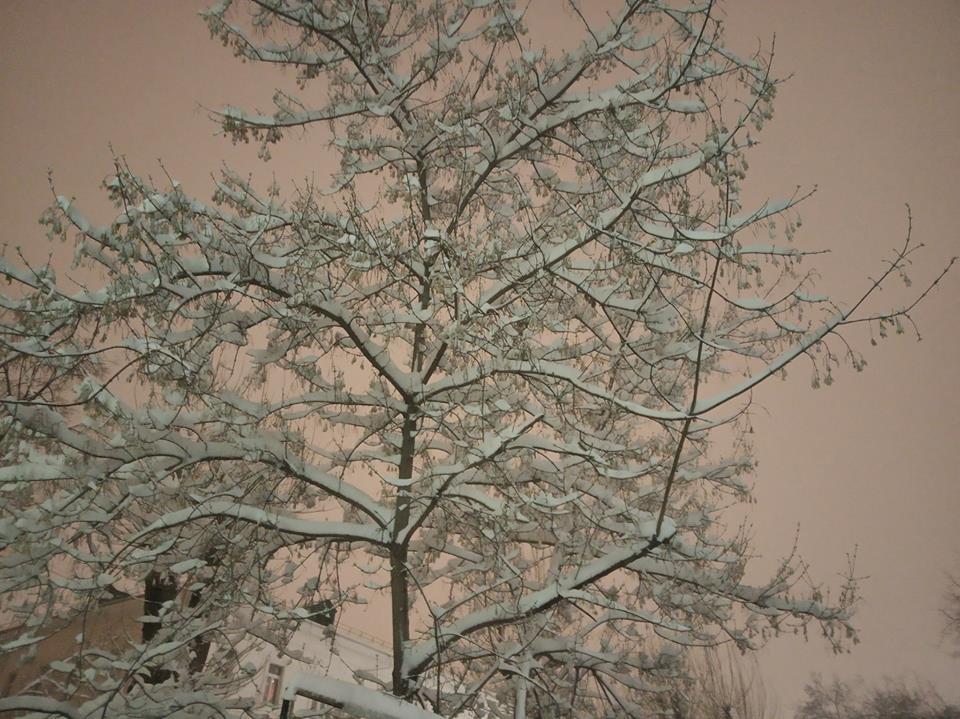 и такое бывает:) вот такое за окном