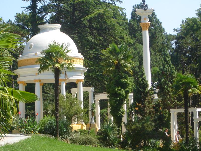 Прогулка в сочинском дендрарии. Вопросы.