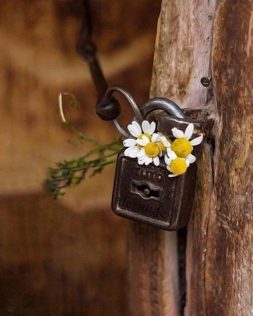 Как смотреть передачи проекта #карантин_ВЫХОД_ЕСТЬ