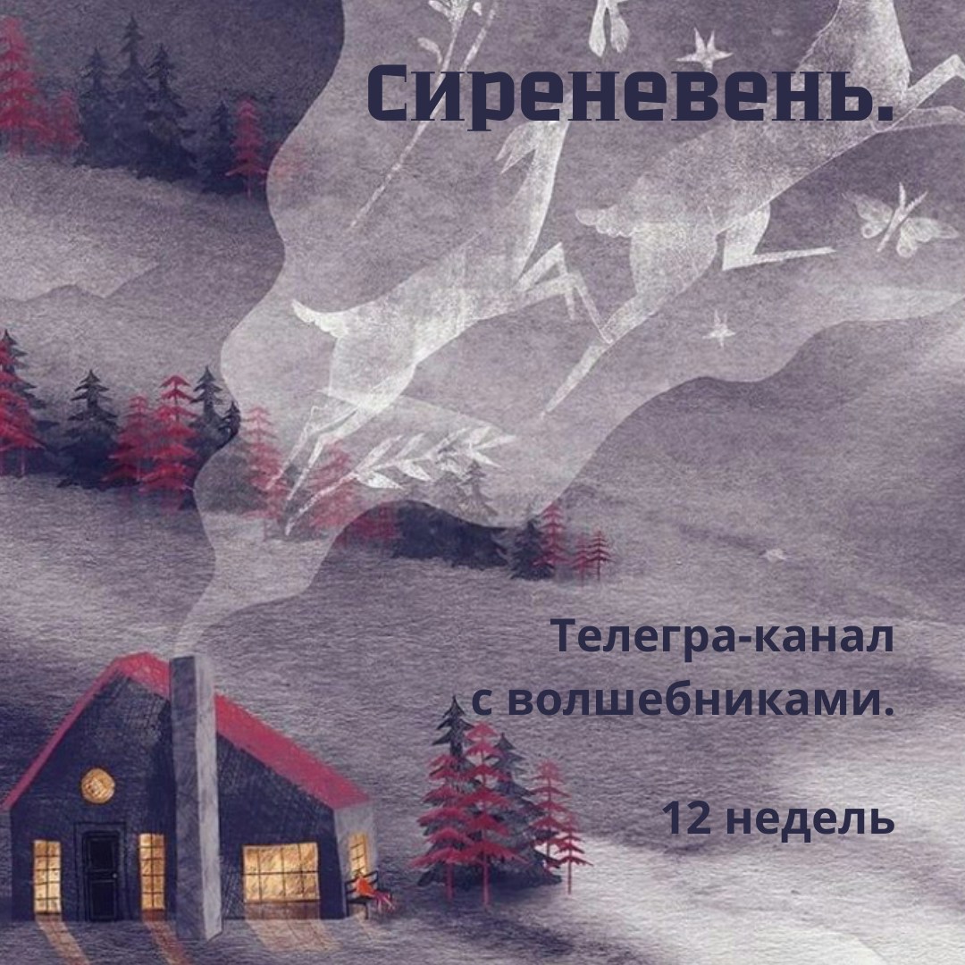 Без названия (Публикация в Instagram)
